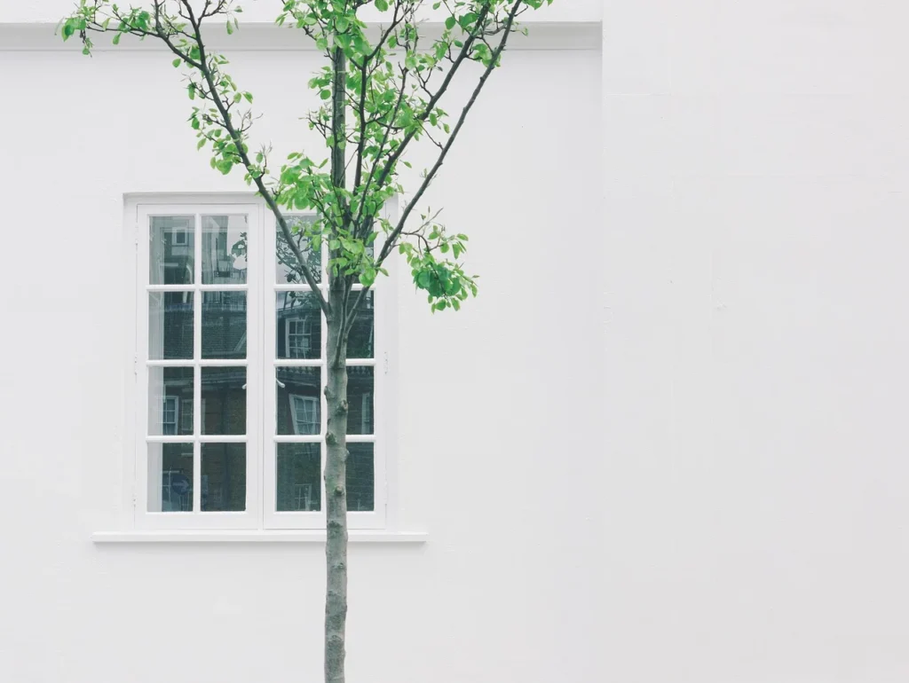 FAQ : Quelles sont les questions courantes sur la décoration murale ?